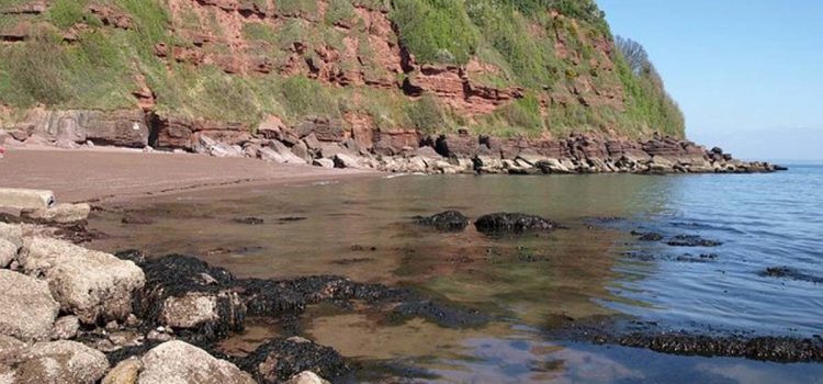 Maidencombe Beach