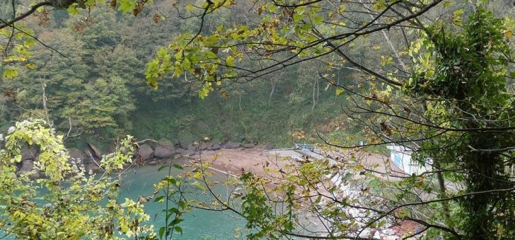 Watcombe Beach